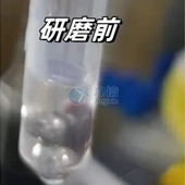 必看！全自動浸入式液氮冷凍研磨儀高效研磨小鼠肝臟提取DNA實(shí)操指南